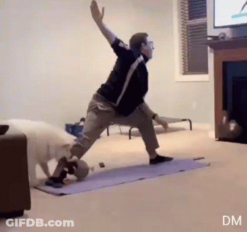 Man Doing Yoga In Living Room As Dog Watches GIF