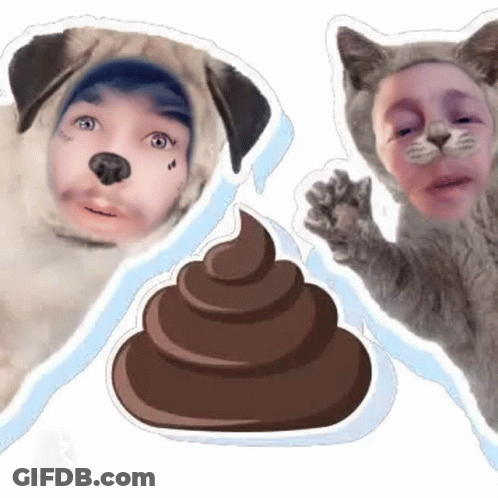 Man Dressed As Dog And Cat Dressed As Poop GIF