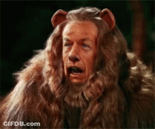 Man Dressed As Lion With Beard GIF
