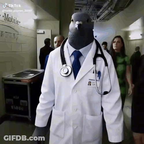 Man Dressed As Pigeon In Lab Coat With Stethoscope GIF
