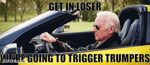 Man Driving Car Saying Get In Loser We're Going To Trigger Trumpers GIF