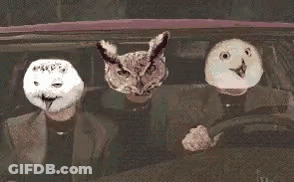 Man Driving Car With Three Masks On Face GIF