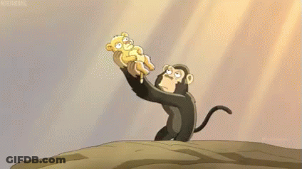 Man Driving Forklift With Monkey Standing Next To It GIF