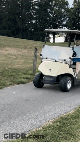 Man Driving Golf Cart On Road GIF