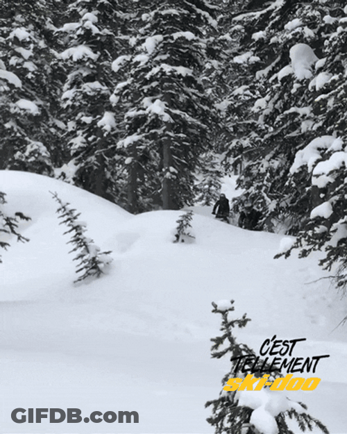 Man Driving Snowmobile Toward The Camera GIF