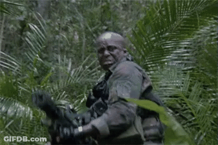 Man Duck Hunting In Forest GIF