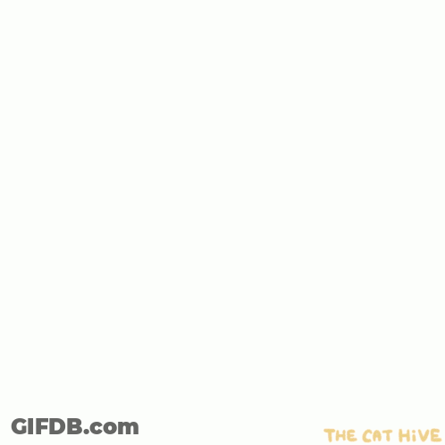 Man Eating Food With Fork GIF