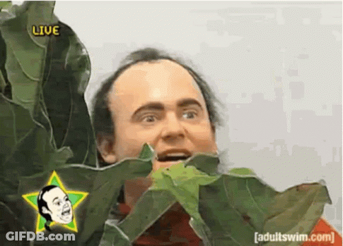 Man Eating Green Leaf Under Star Saying Live GIF