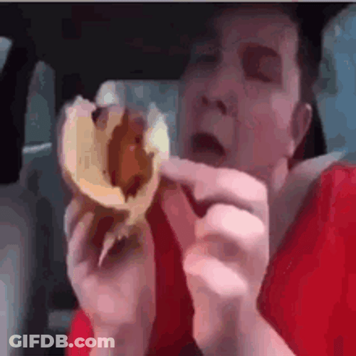 Man Eating Idiot Sandwich Inside Car GIF