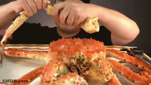 Man Eating Large Crab GIF
