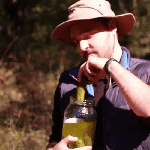 Man Eating Pickle GIF