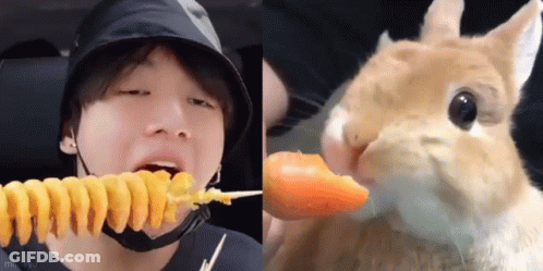 Man Eating Spiral Fries Beside Rabbit Eating Carrot GIF