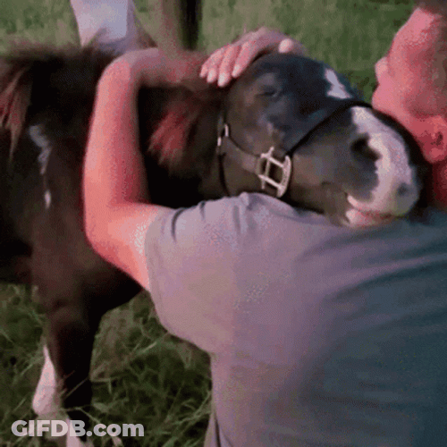Man Embracing And Petting Pony GIF