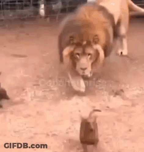 Man Eyes Closed He Tryna Ignore It GIF