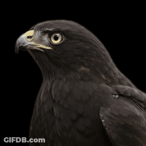 Man Face Close Up Ronaldinhoclips GIF