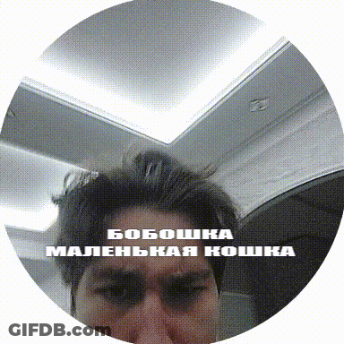 Man Face In Circle Saying Boboshka GIF