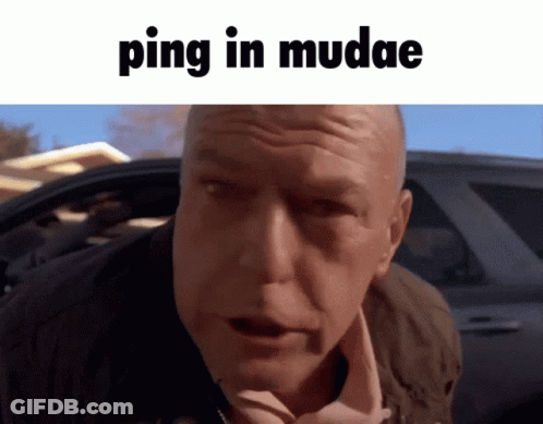 Man Face With Ping In Mudae GIF