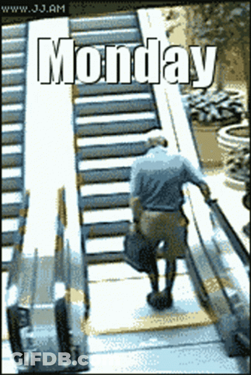 Man Falls Down In Escalator Funny Monday Mood GIF