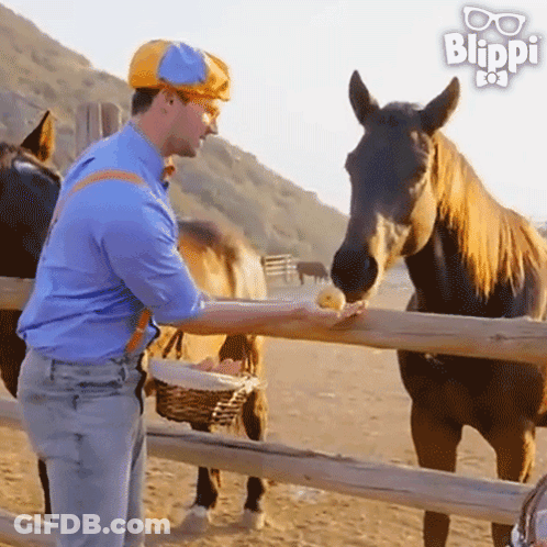 Man Feeding Horse Behind Fence GIF