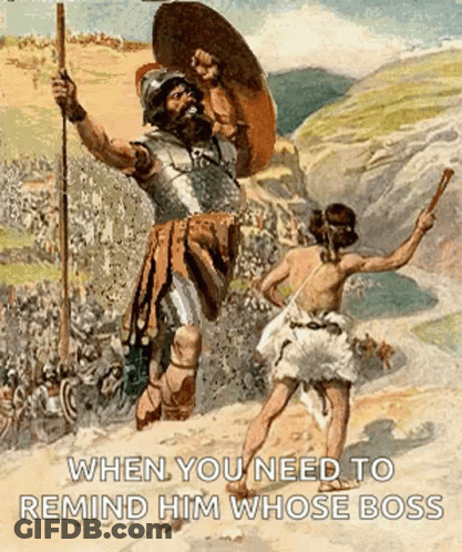 Man Fighting Giant When You Need To Remind Him Whose Boss GIF