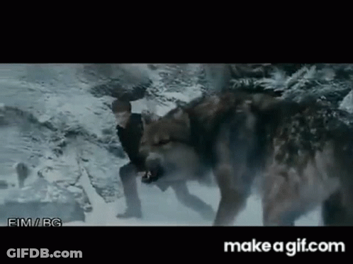 Man Fighting Wolf In Snow GIF