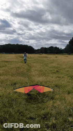 Man Flying Kite In Field GIF