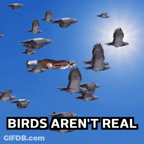 Man Flying Through Pigeons With Birds Aren't Real GIF