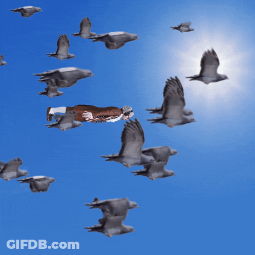 Man Flying Through Pigeons With Liberty Shirt GIF