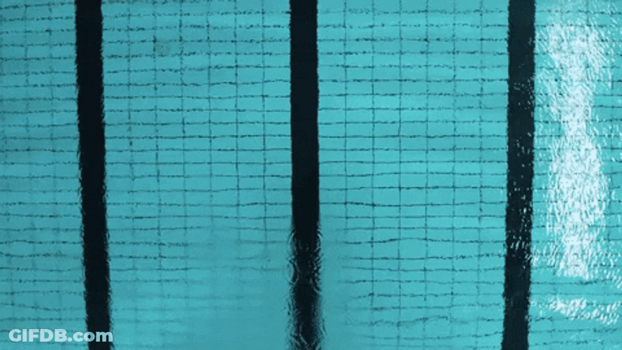 Man Freestyle Swimming In Pool GIF