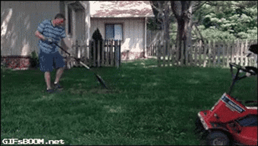 Man Gardening With Dog GIF