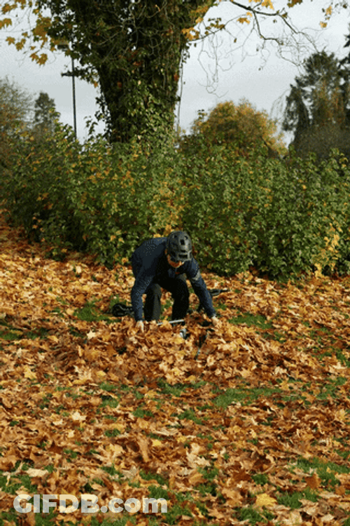 Man Gets Bicycle From Fall Leaf GIF
