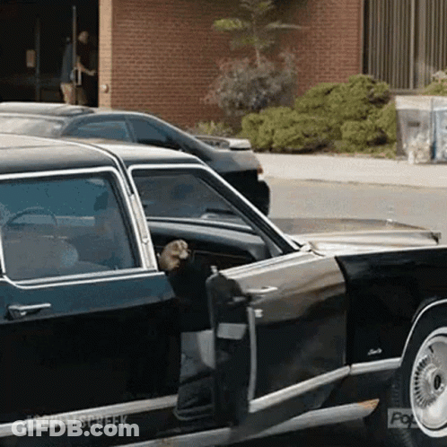 Man Getting Out Of Black Car With Dog In Driver Seat GIF