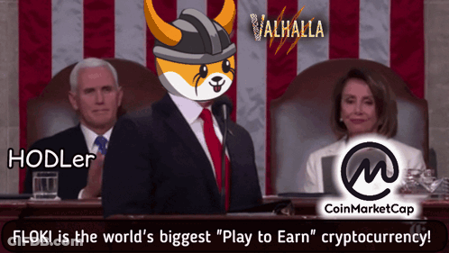 Man Giving Speech Floki Is The World's Biggest Play To Earn GIF