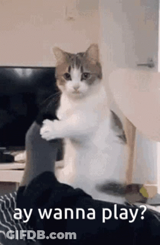 Man Giving Woman Thumbs Up GIF