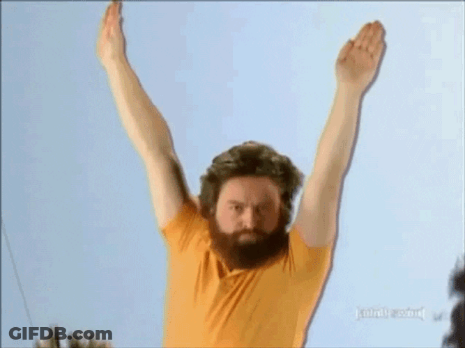 Man Hands Up To Fly Meme GIF