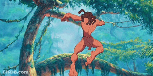 Man Hanging From Tree Branch GIF