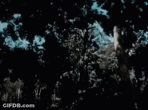 Man Hanging From Tree With Tarzan Text GIF