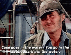 Man Hat Says Cage Goes In Water Sharks GIF