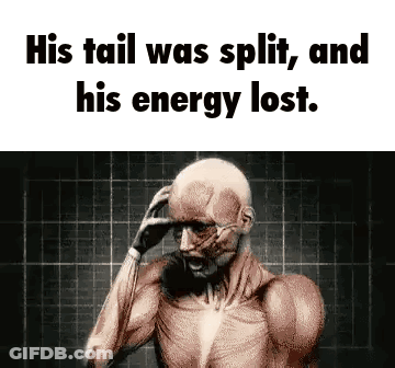 Man His Tail Was Split And His Energy Lost GIF