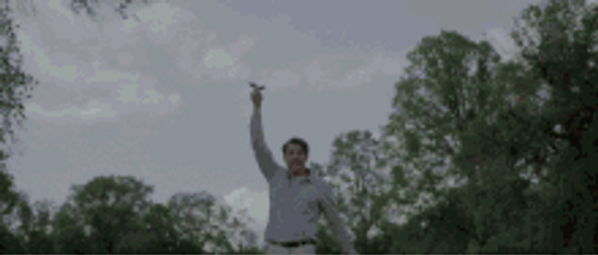 Man Hit By Lightning And Dying GIF