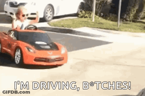 Man Holding American Flag Beside Car Saying Lite GIF
