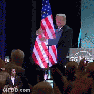 Man Holding American Flag In Front Of Crowd GIF