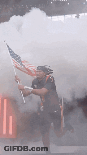 Man Holding American Flag In Stadium GIF