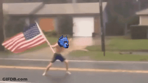 Man Holding American Flag With Blue Dog Head GIF