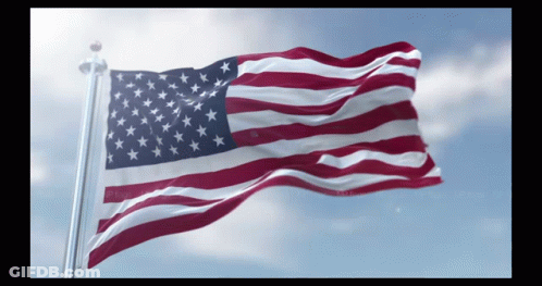Man Holding American Flag GIF