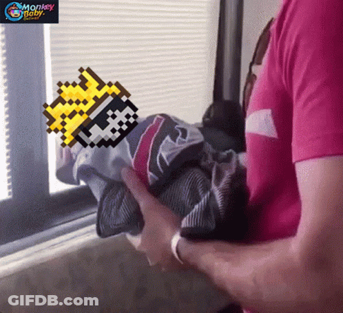Man Holding Baby With Monkey Baby Text GIF