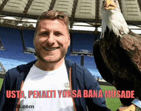Man Holding Bald Eagle Usta Penalti Yoksa Bana Musade GIF