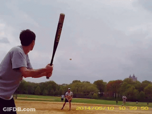 Man Holding Baseball Bat 2014 GIF