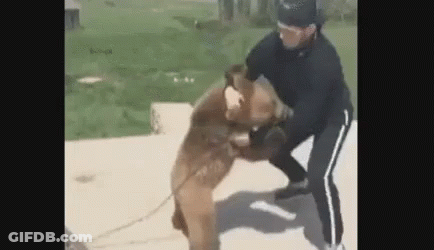 Man Holding Bear On A Chain GIF