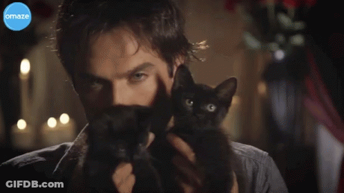 Man Holding Black Cat And Maze Logo GIF
